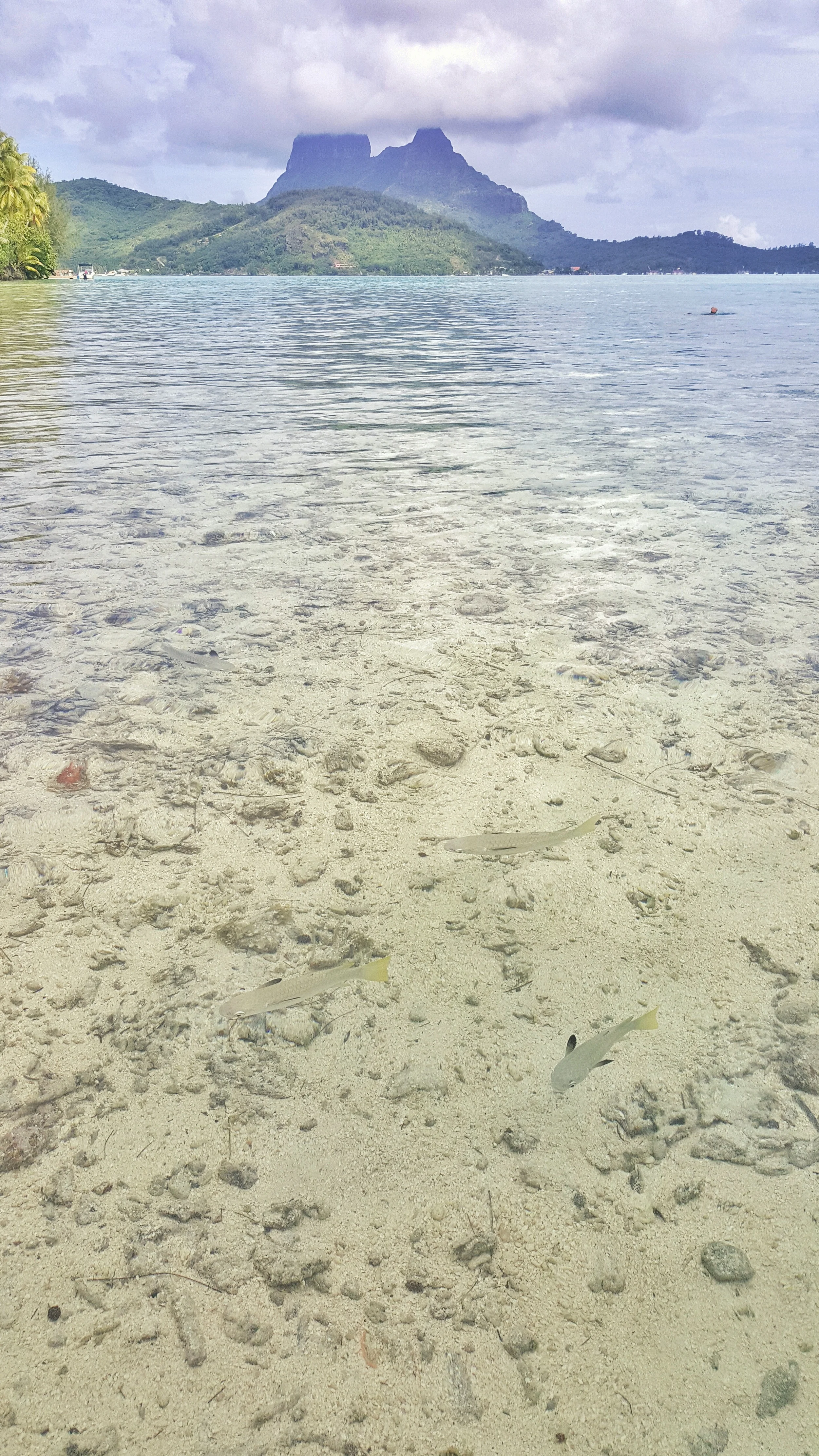 Tahiti French Polynesia Bora Bora Background2