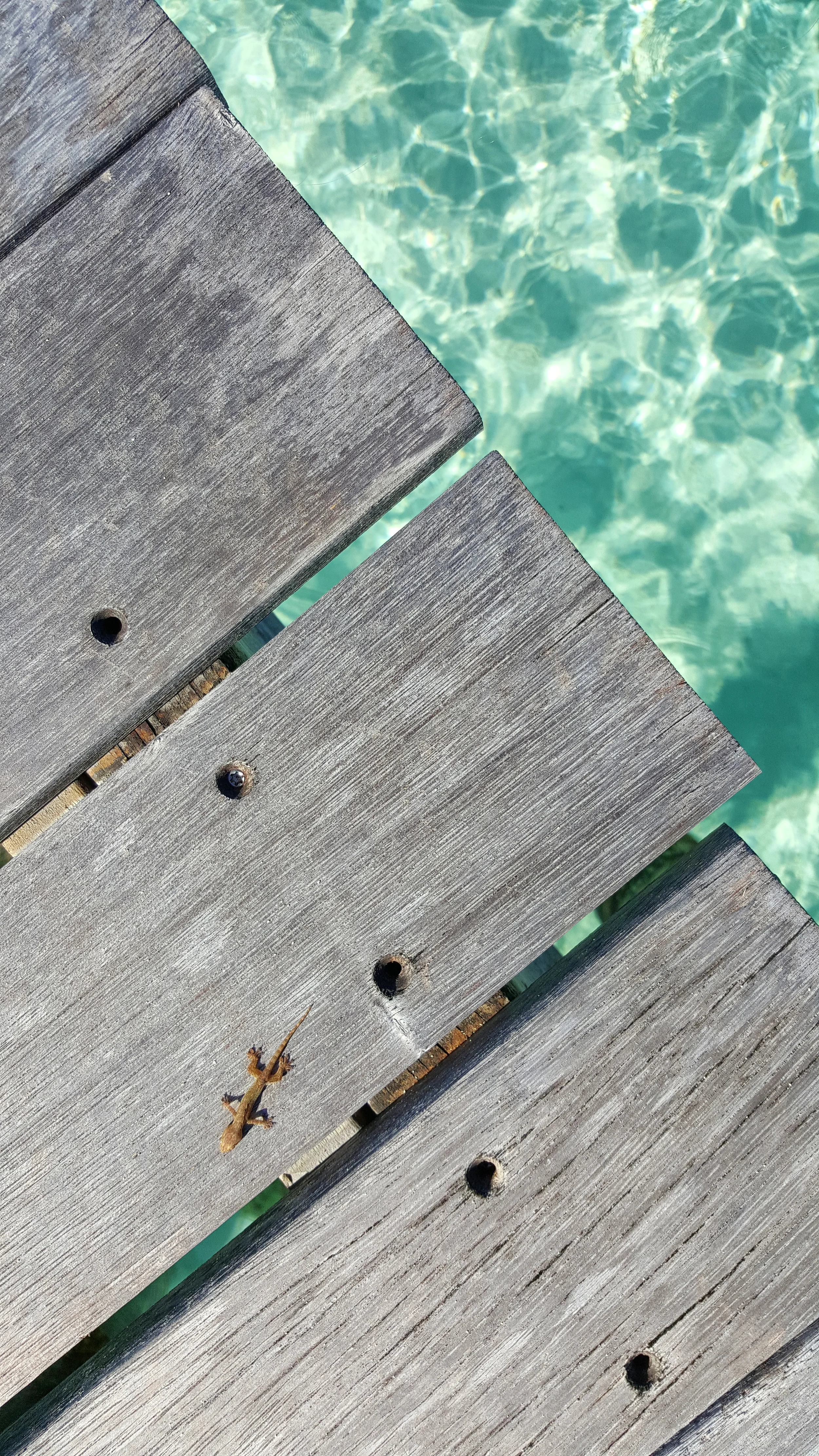Tahiti French Polynesia Bora Bora Background5