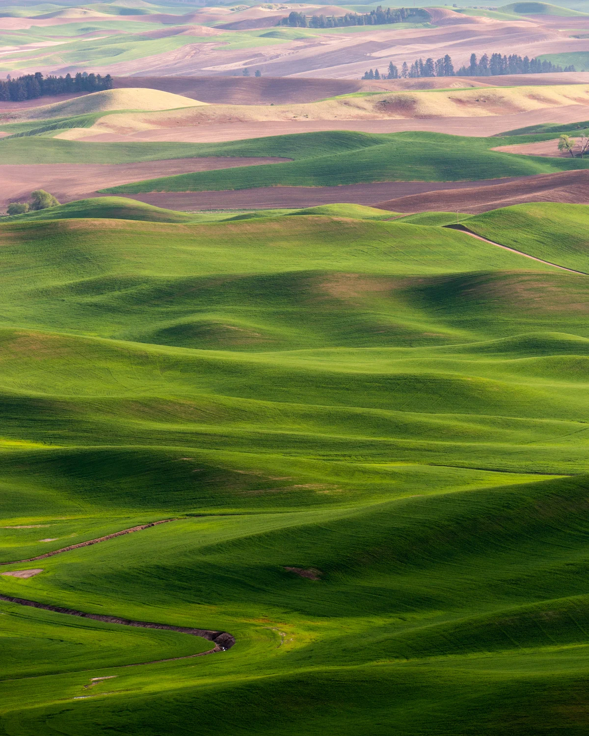 Tesla Trip Columbia River Gorge Oregon Washington Palouse