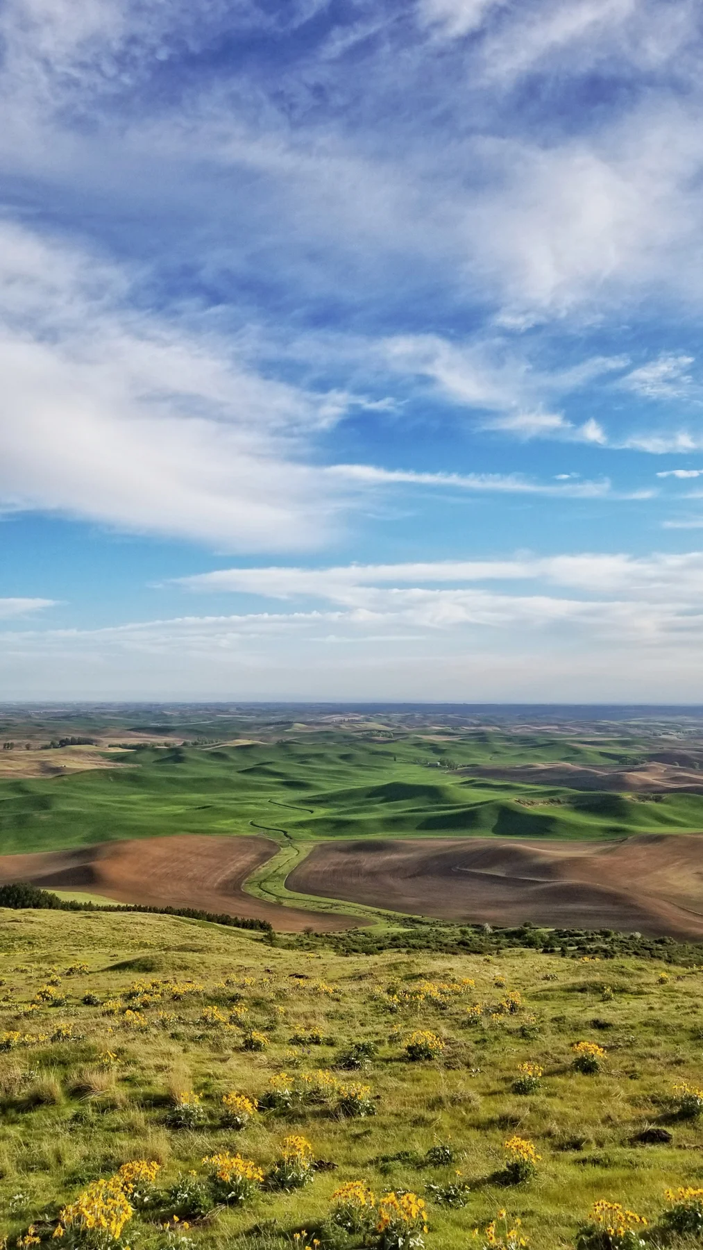 Tesla Trip Columbia River Gorge Oregon Washington Palouse