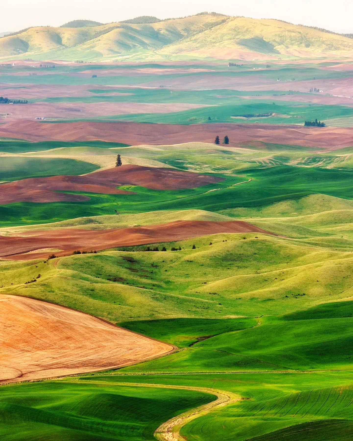 Tesla Trip Columbia River Gorge Oregon Washington Palouse