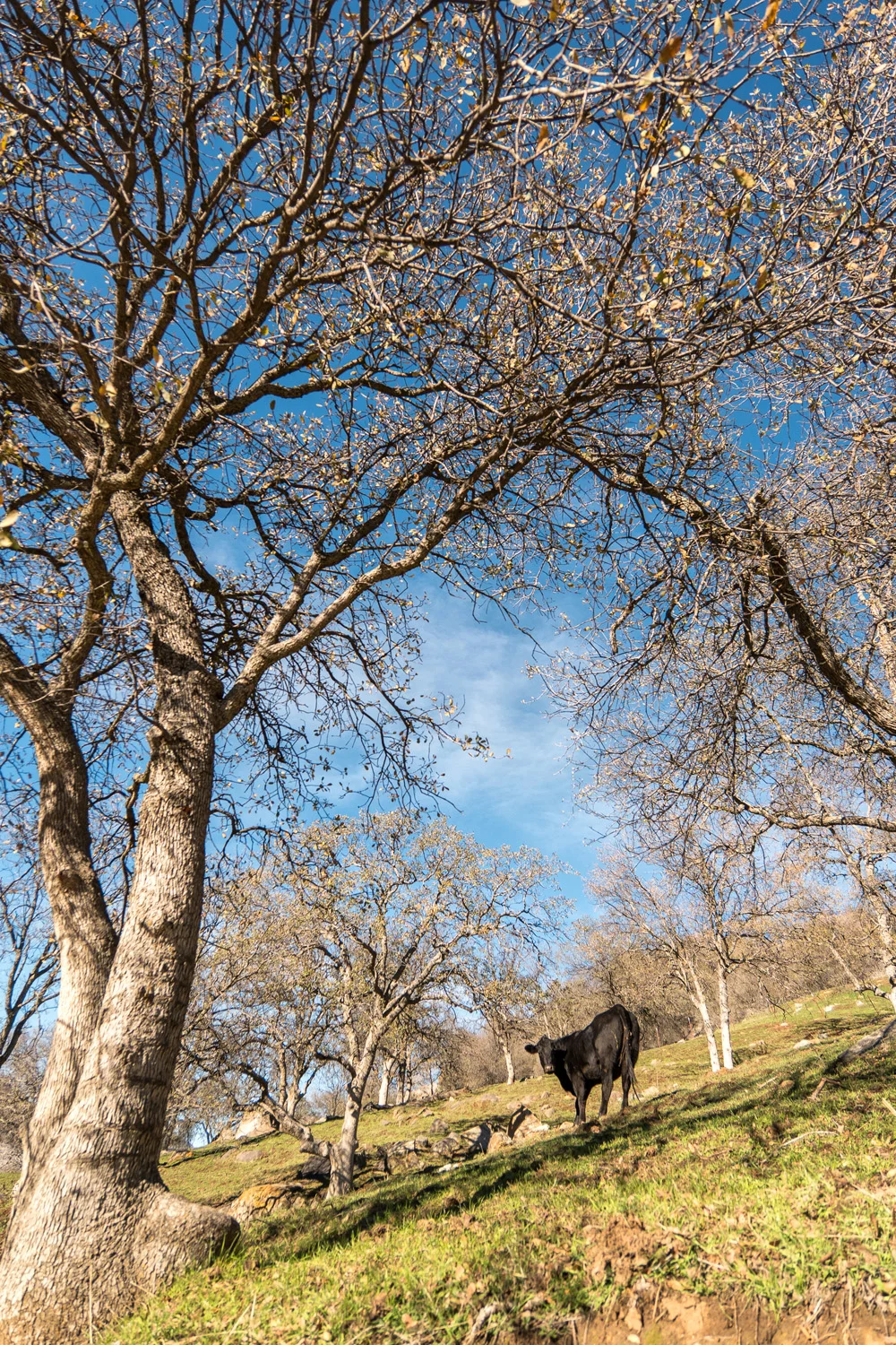 Three Rivers Ranch Around