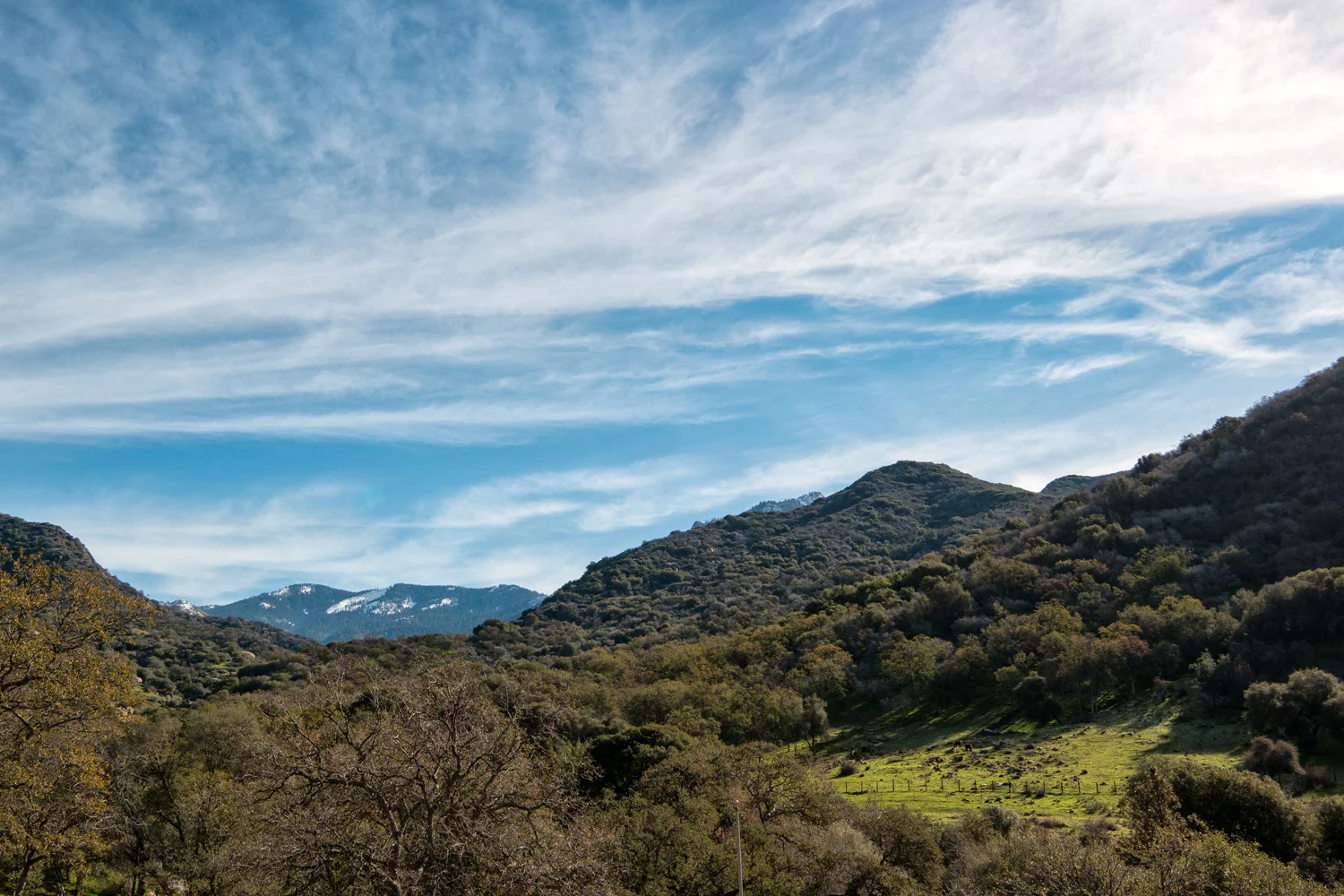 Three Rivers Ranch Around