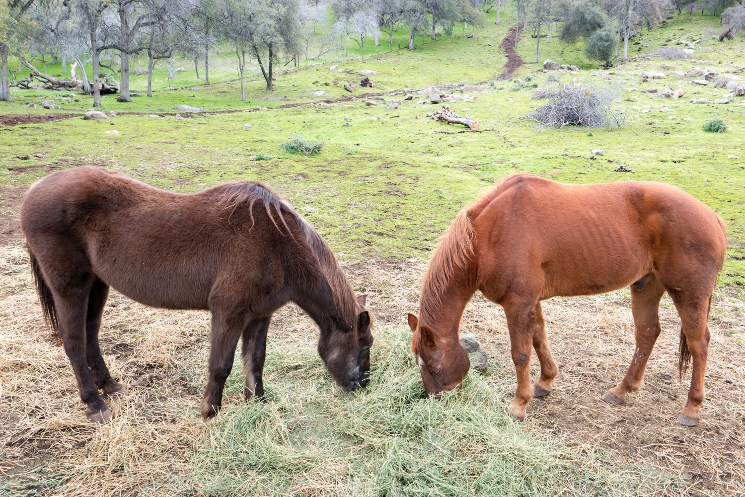 Three Rivers Ranch Around