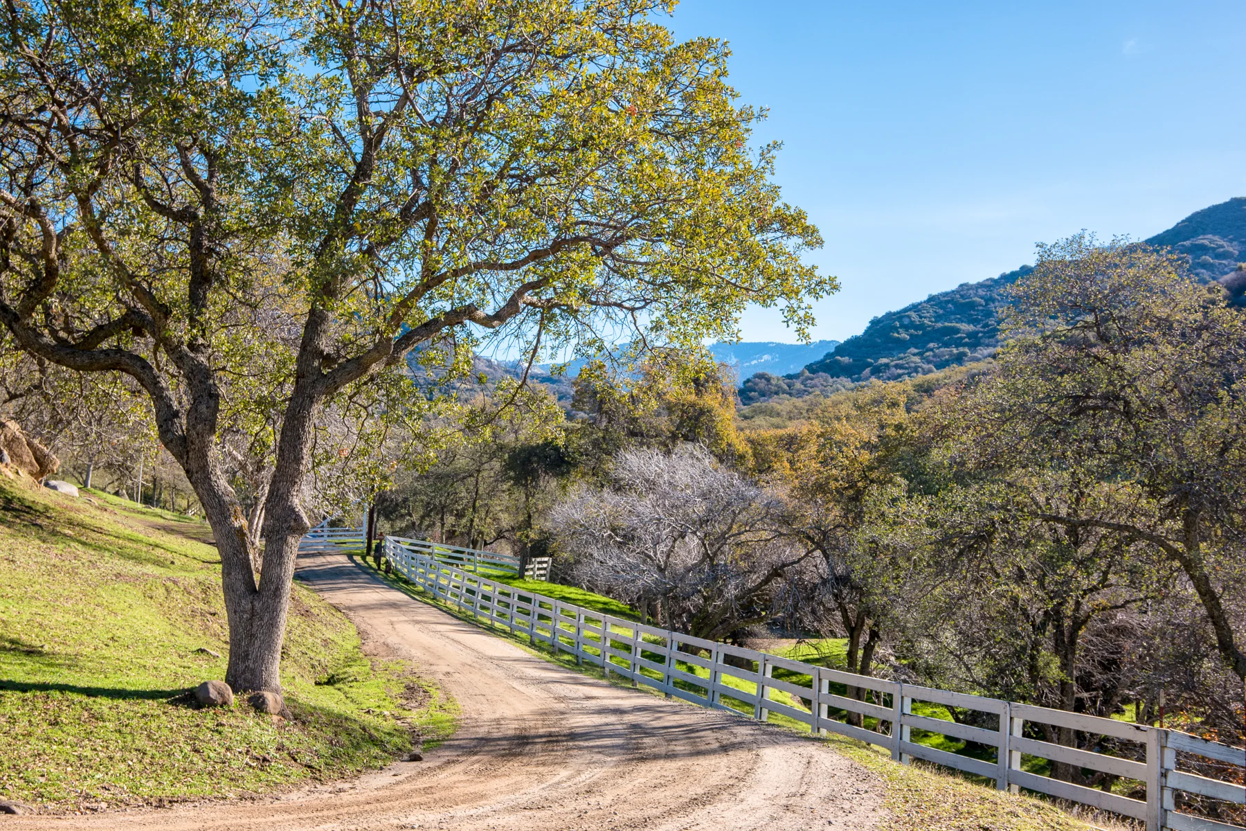 Three Rivers Ranch Around
