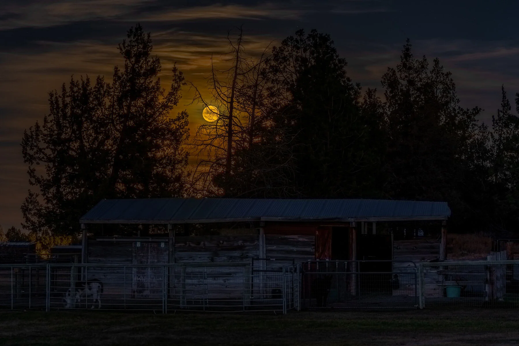 Tumalo Bend Oregon Ranch Farm