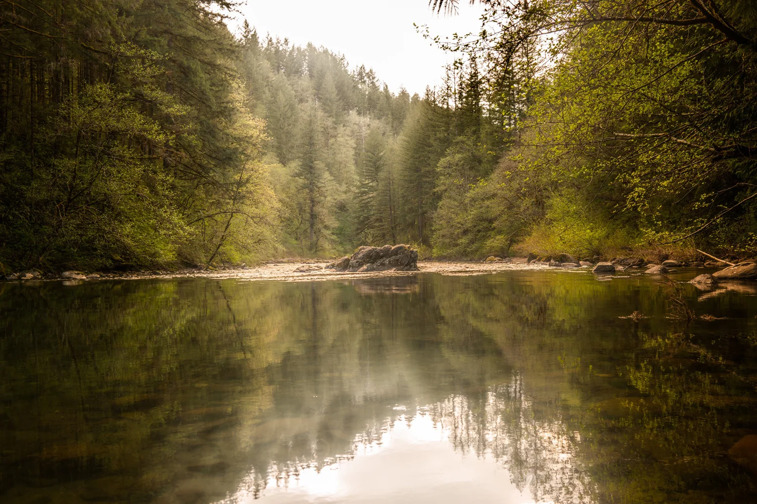 Washington State Moulton Falls Regional Park