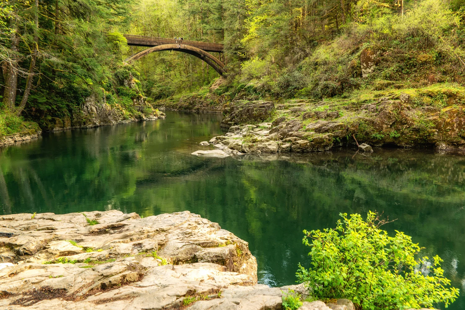 Washington State Moulton Falls Regional Park