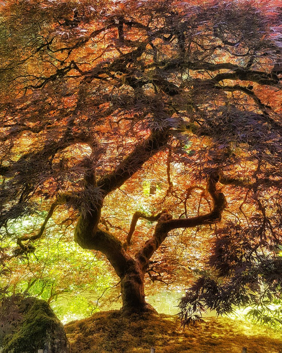 Wasimof Nazareth Photography Pacific Northwest Oregon Washington Months1 3Highlights