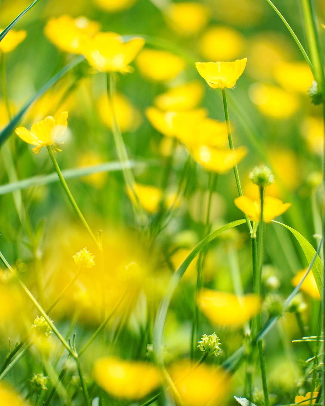 Wasimof Nazareth Photography Pacific Northwest Oregon Washington Months1 3Highlights