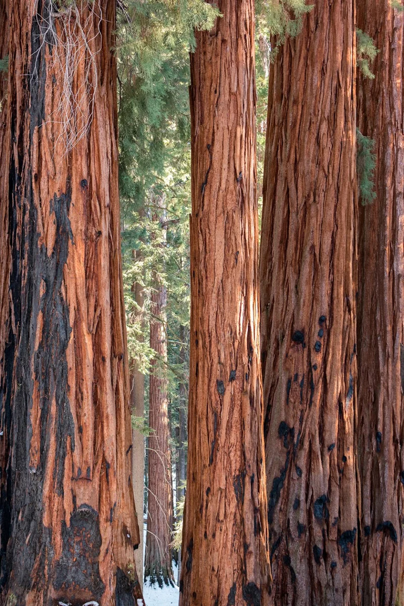 Wasimof Nazareth Happy Birthday National Park Service NPS100