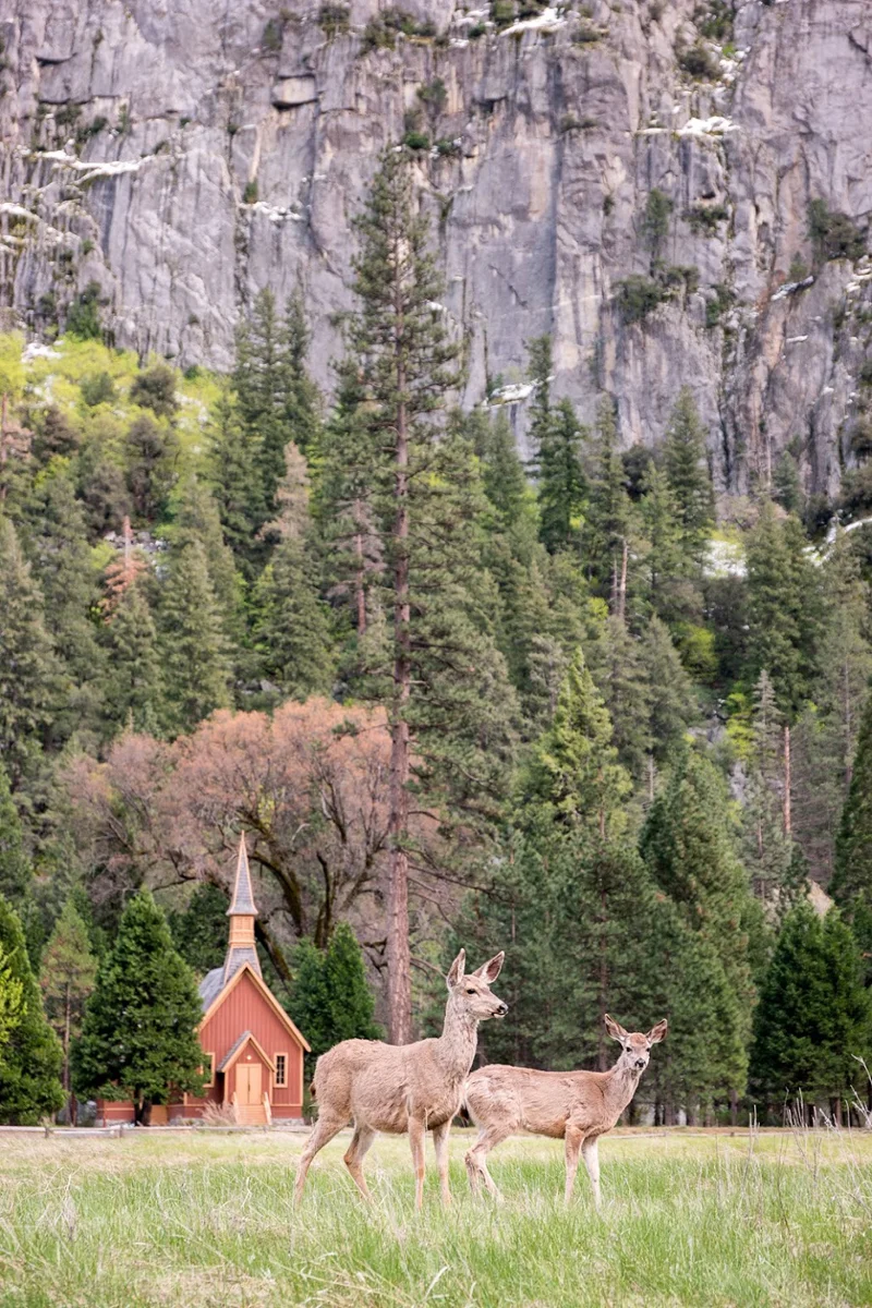 Wasimof Nazareth Happy Birthday National Park Service NPS100
