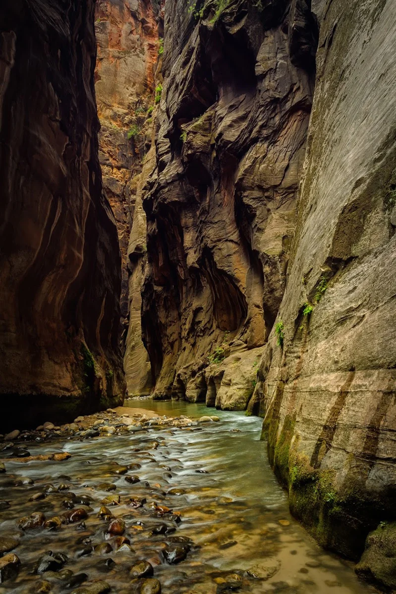 Wasimof Nazareth Happy Birthday National Park Service NPS100