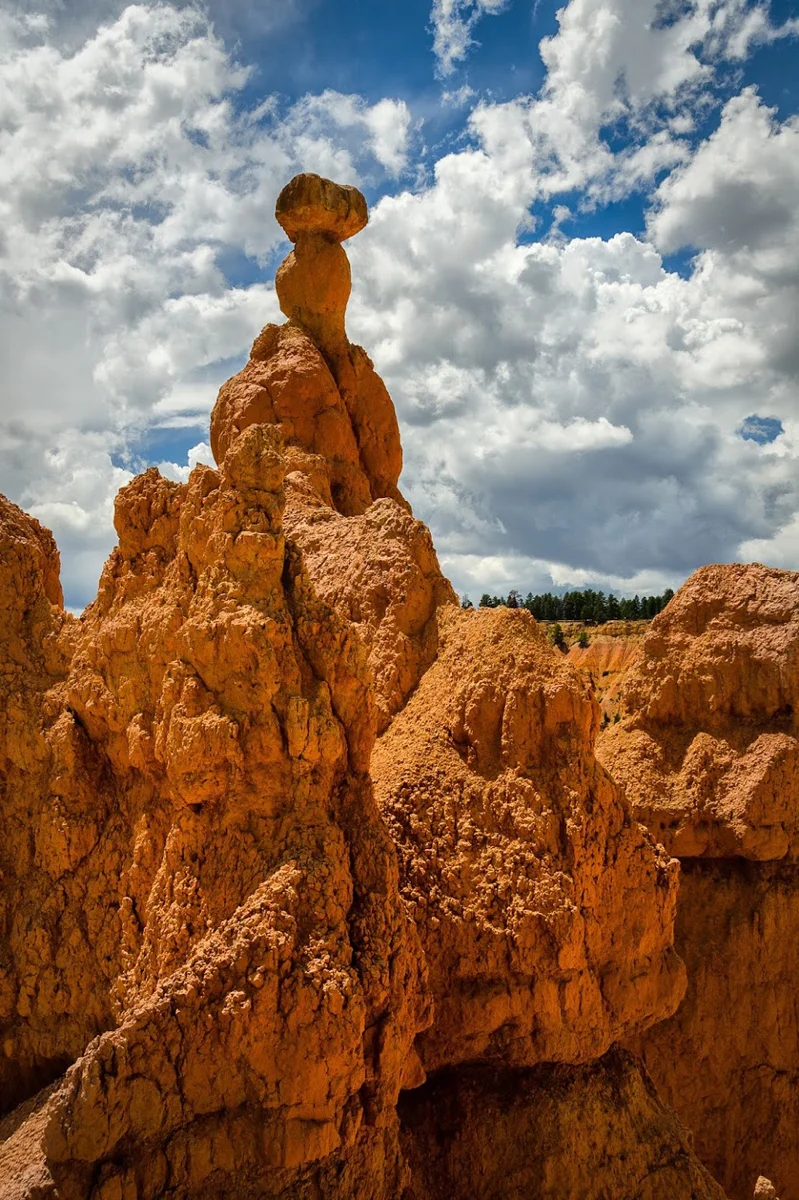 Wasimof Nazareth Happy Birthday National Park Service NPS100