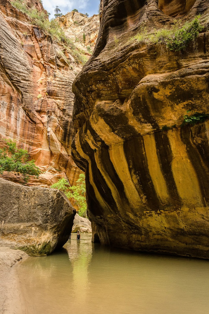 Wasimof Nazareth Happy Birthday National Park Service NPS100