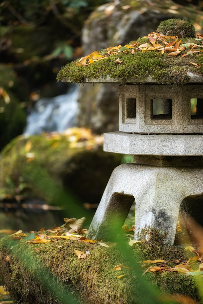 Wasimof Nazareth Japanese Garden Fall Portland Oregon