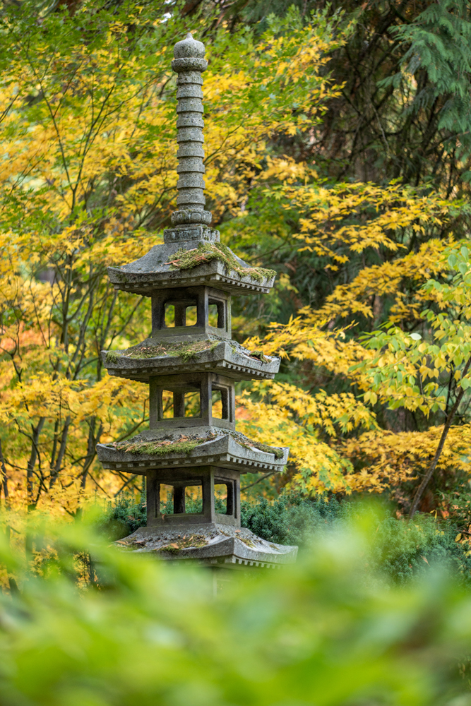 Wasimof Nazareth Japanese Garden Fall Portland Oregon