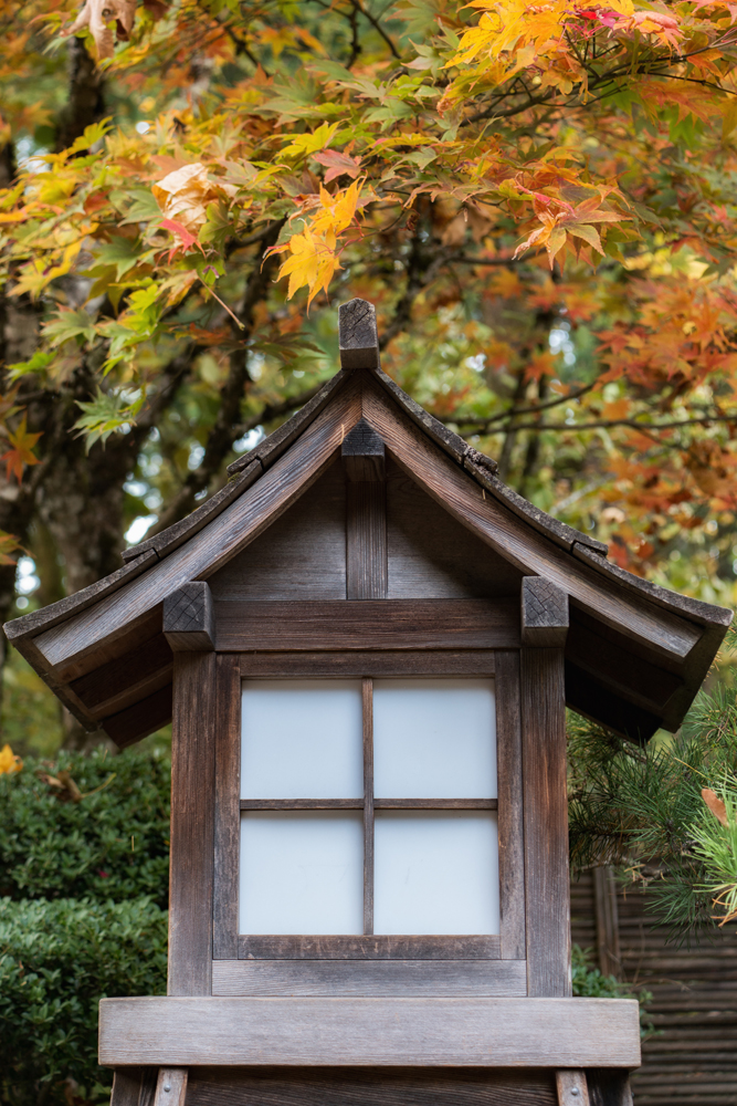 Wasimof Nazareth Japanese Garden Fall Portland Oregon