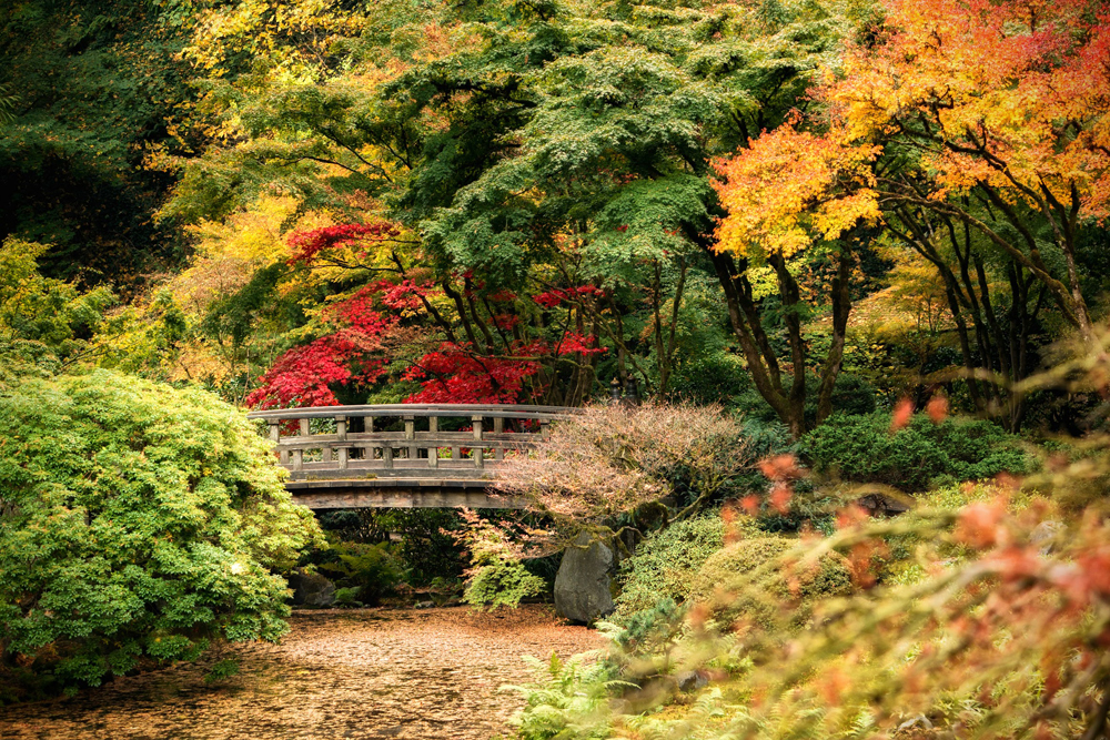 Wasimof Nazareth Japanese Garden Fall Portland Oregon