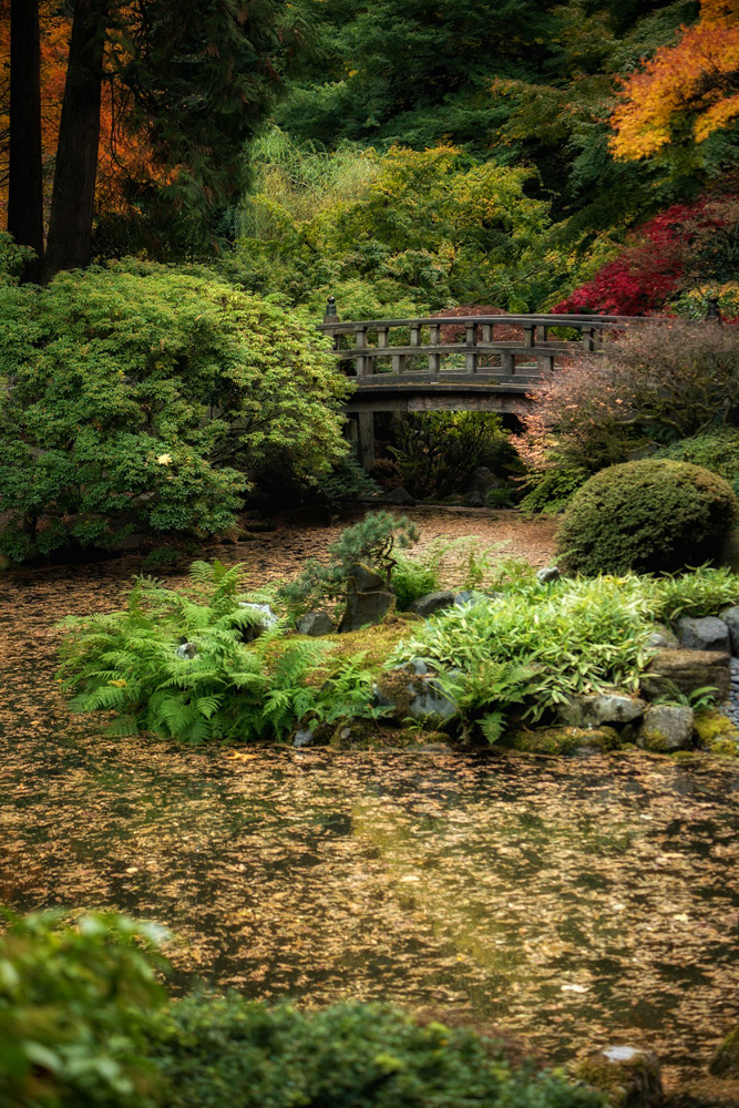 Wasimof Nazareth Japanese Garden Fall Portland Oregon