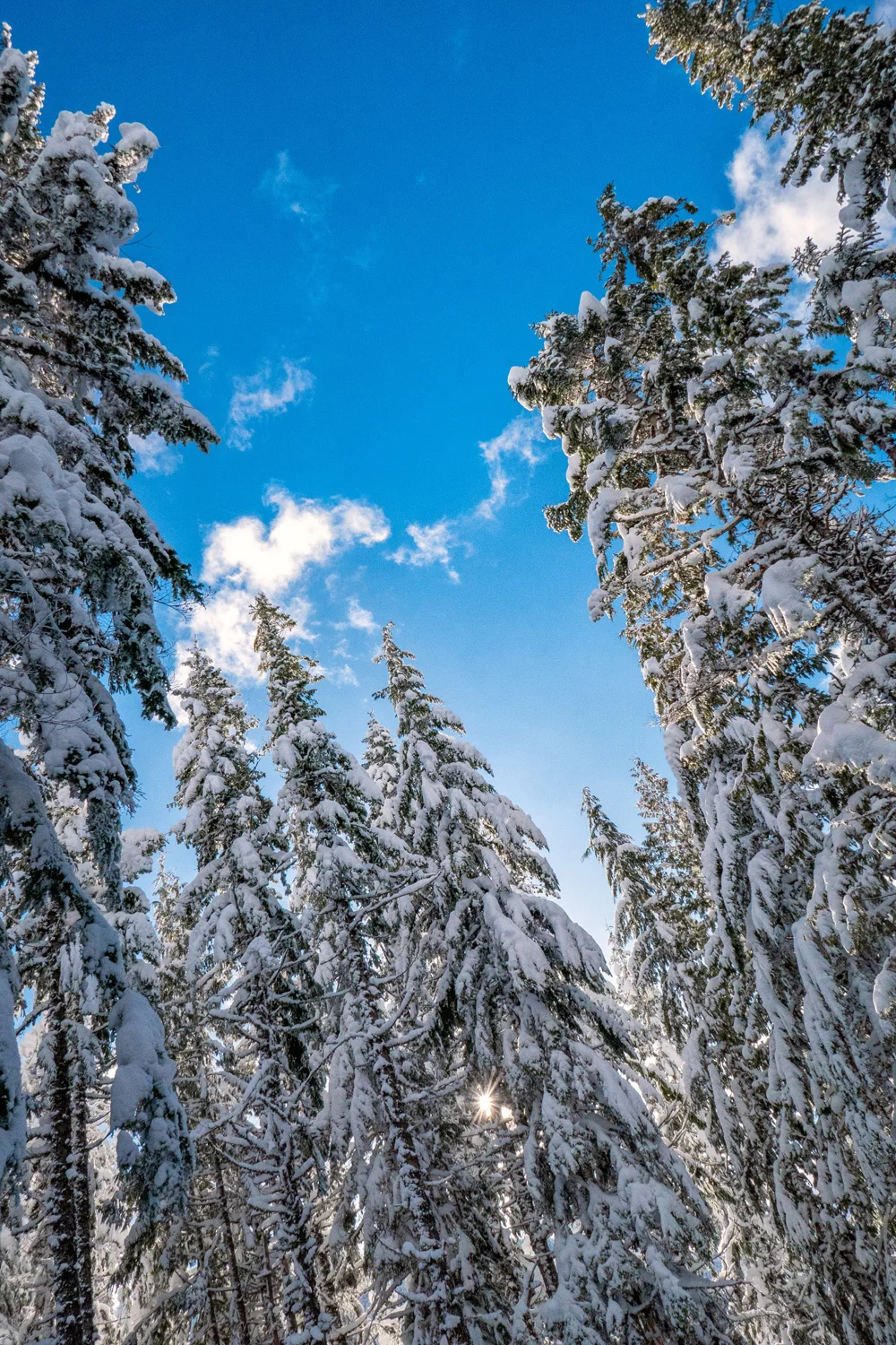 Wasimof Nazareth Mount Hood Oregon
