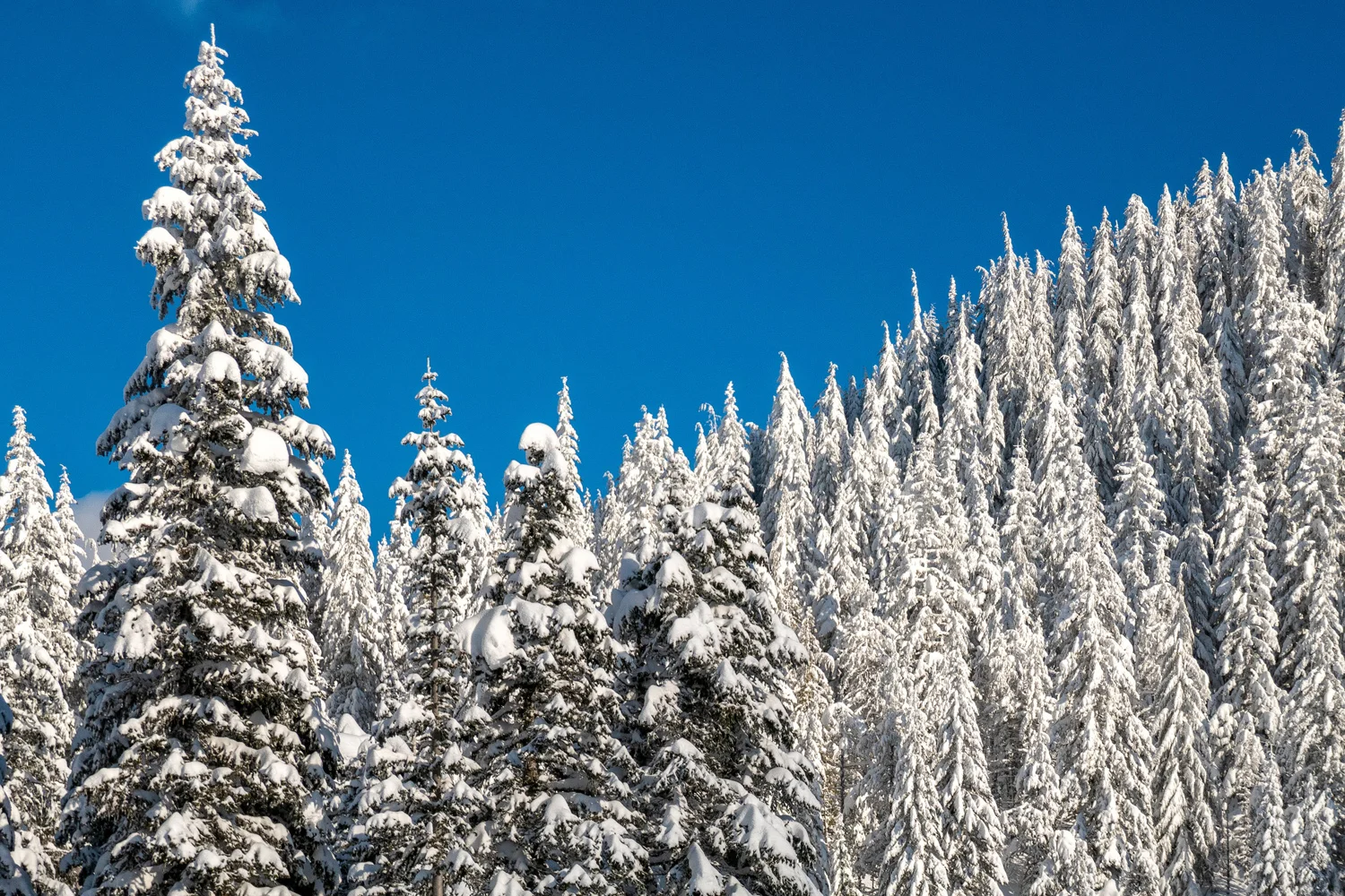Wasimof Nazareth Mount Hood Oregon