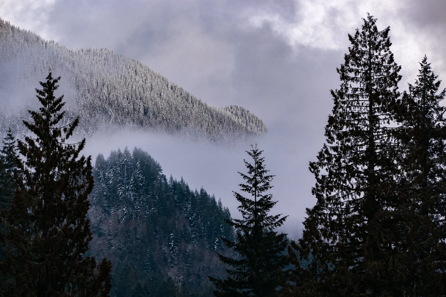 Wasimof Nazareth Mount Hood Oregon