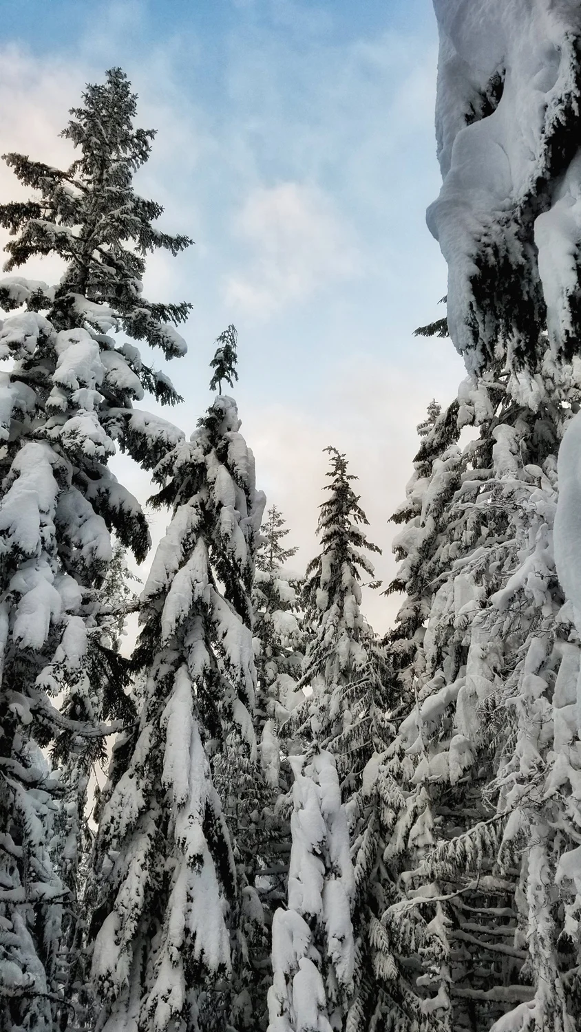 Wasimof Nazareth Mount Hood Oregon