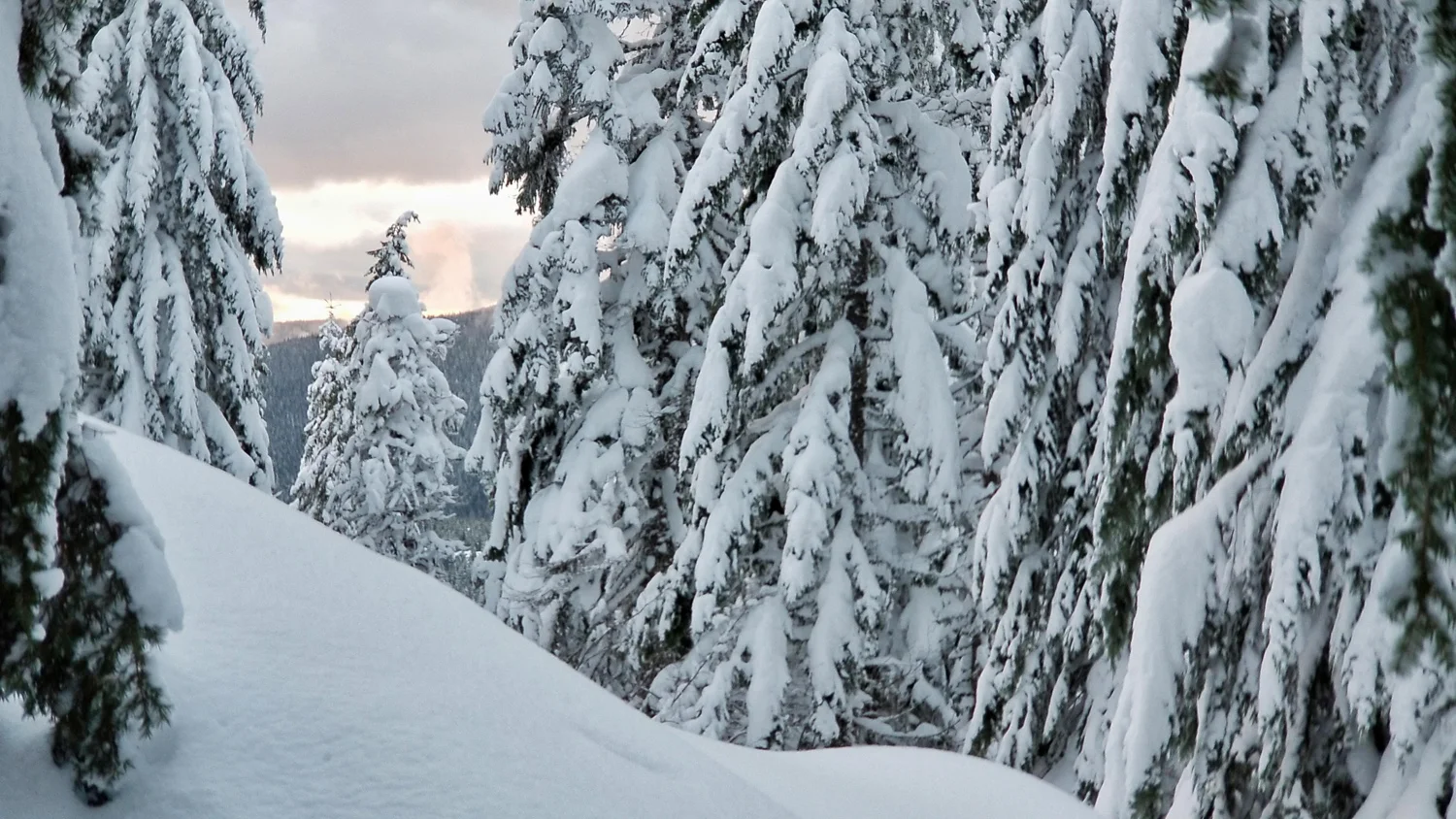 Wasimof Nazareth Mount Hood Oregon