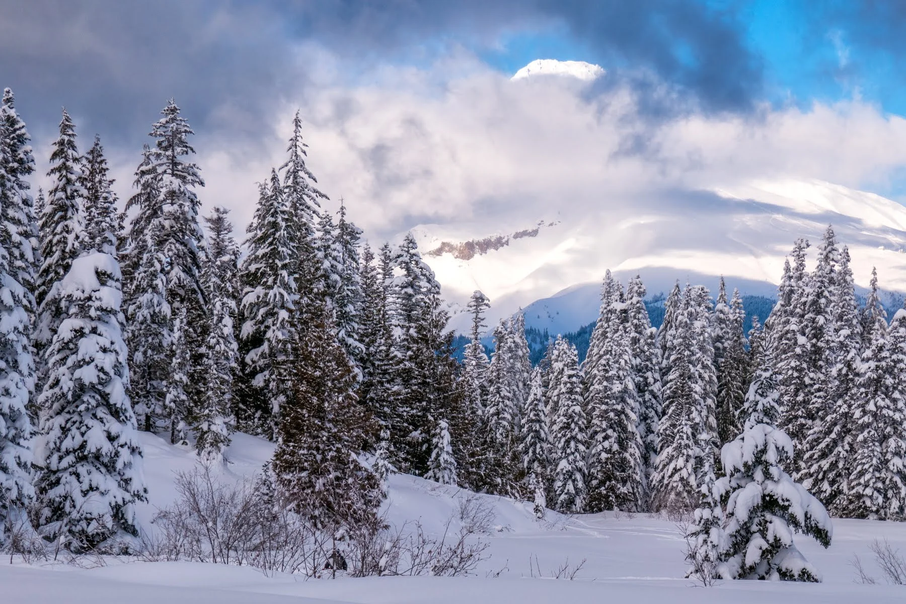 Wasimof Nazareth Mount Hood Oregon