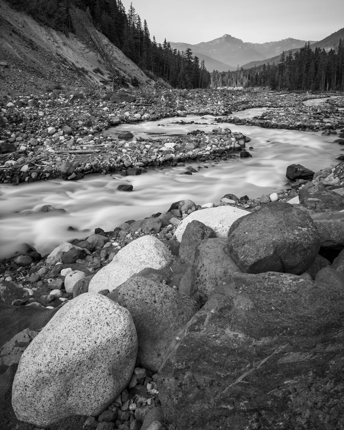 Wasimof Nazareth Mount Rainier National Park Washington