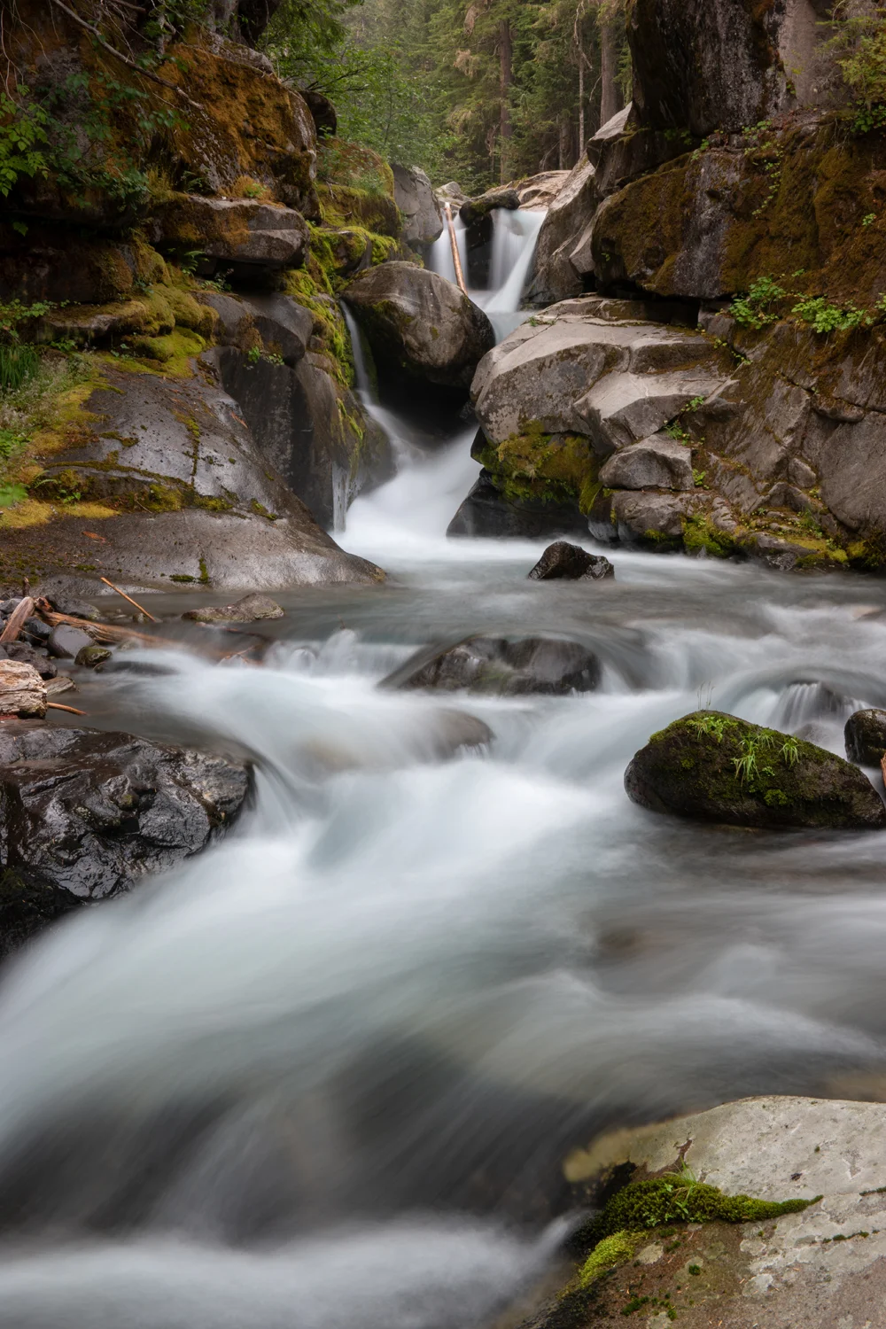 Wasimof Nazareth Mount Rainier National Park Washington