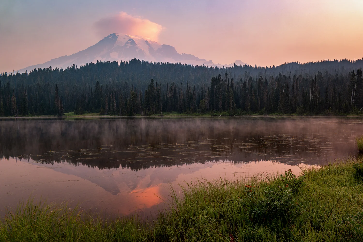 Wasimof Nazareth Mount Rainier National Park Washington