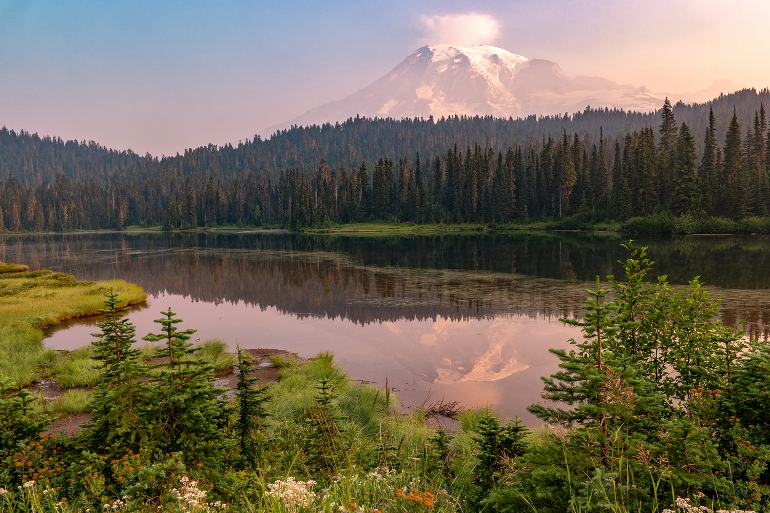 Wasimof Nazareth Mount Rainier National Park Washington