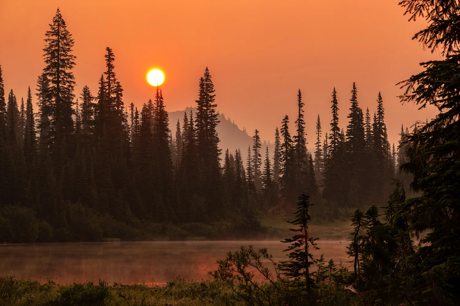 Wasimof Nazareth Mount Rainier National Park Washington