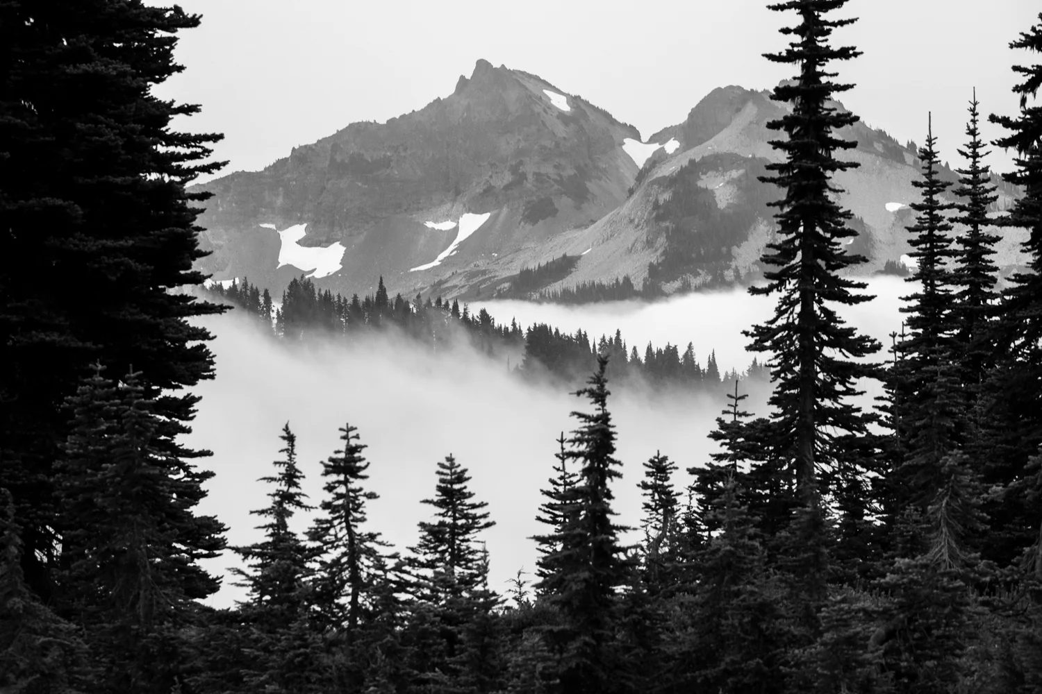 Wasimof Nazareth Mount Rainier National Park Washington