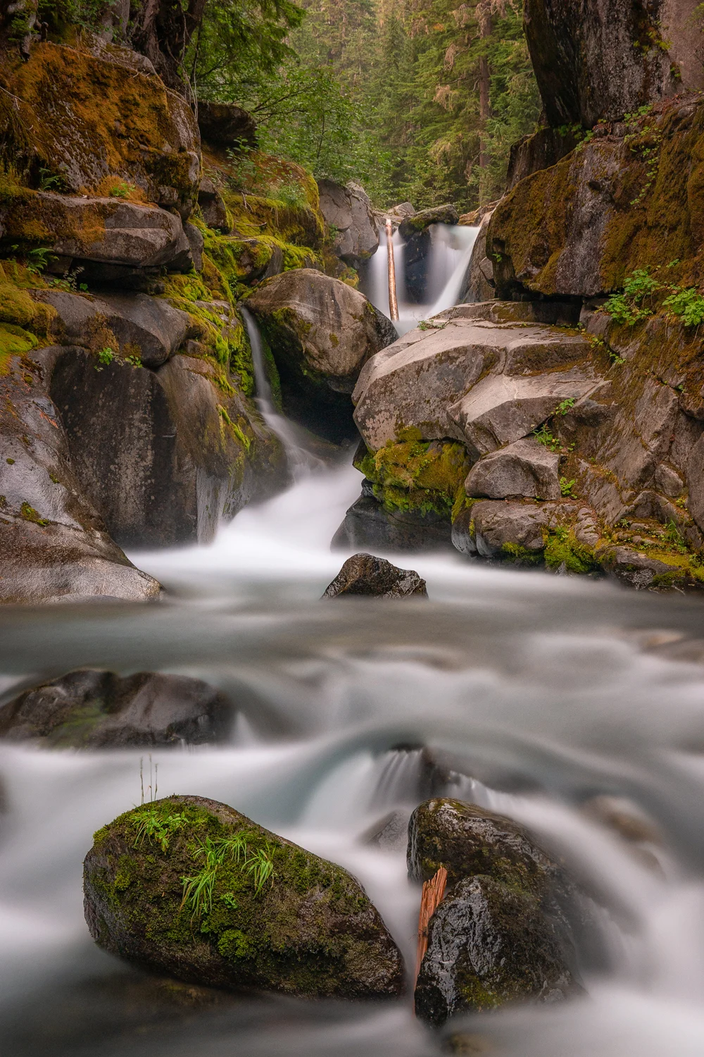 Wasimof Nazareth Mount Rainier National Park Washington