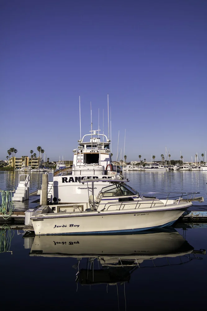 Whale Watching Ventura California Samsung NX30
