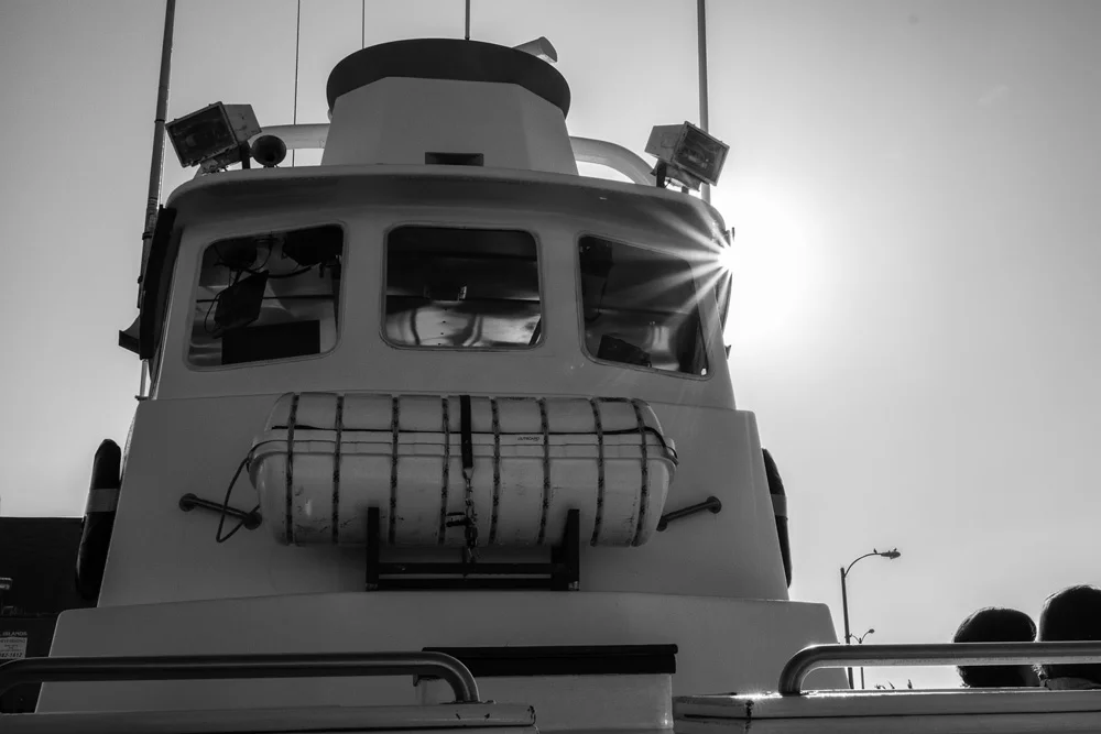 Whale Watching Ventura California Samsung NX30