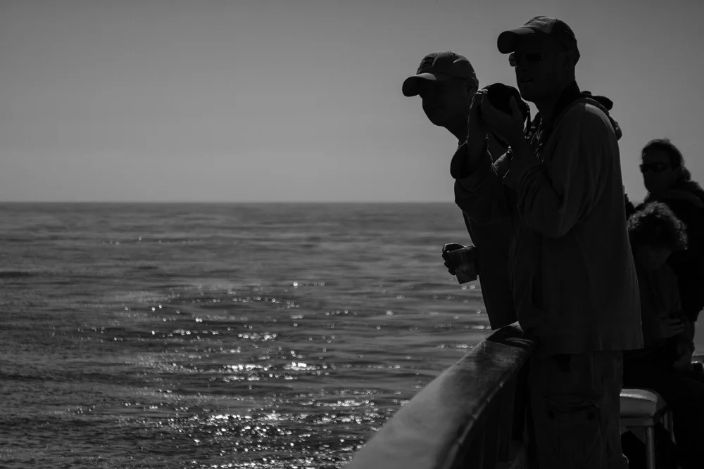 Whale Watching Ventura California Samsung NX30