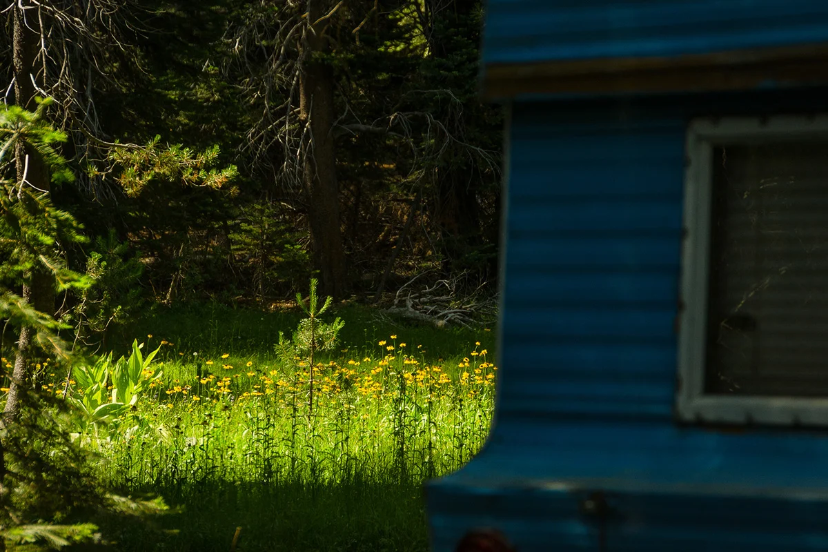 Yosemite California Far Meadow Real Estate Photography