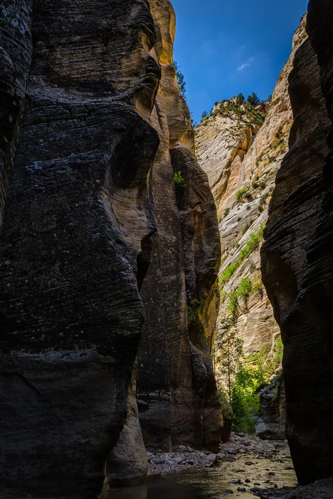 Zion National Park Utah The Narrows