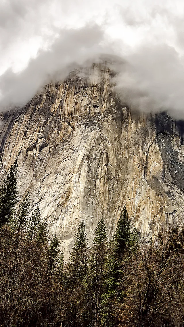 el capitan dares you.