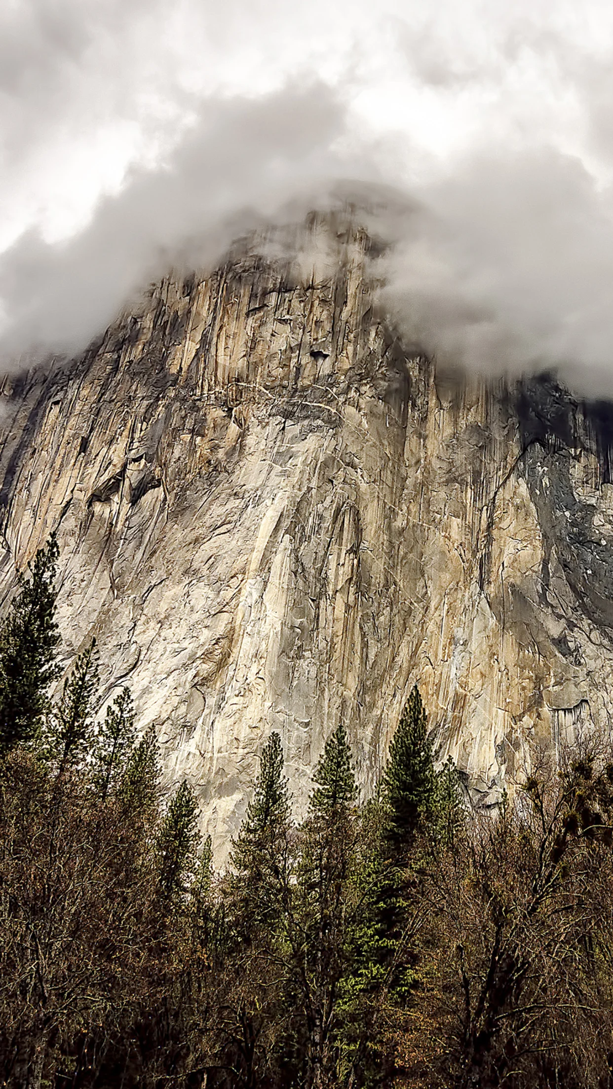el capitan dares you.
