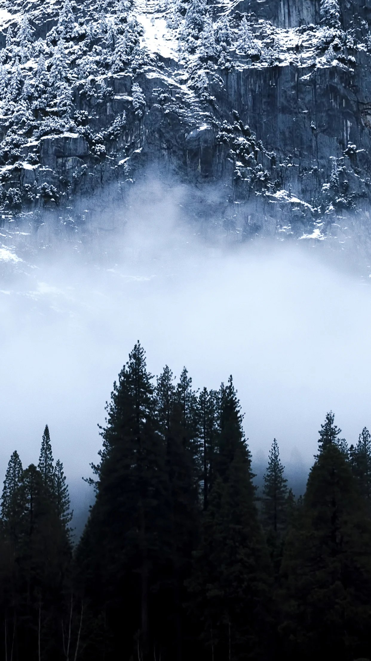 a slice of yosemite layer cake