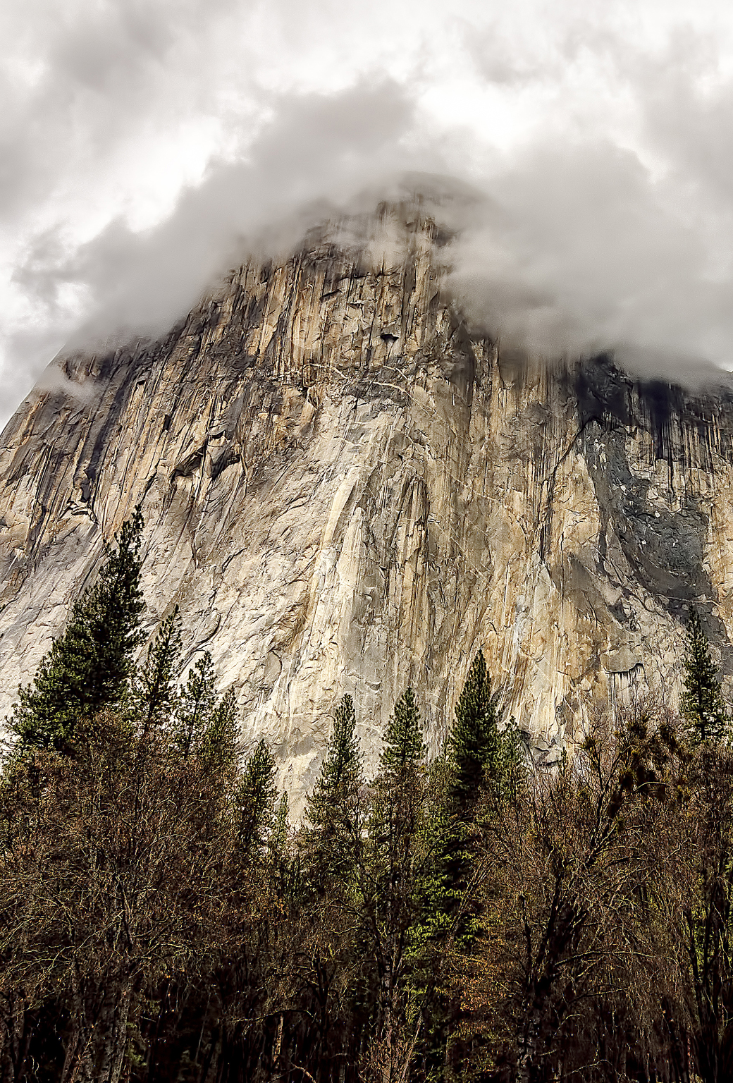 el capitan dares you.