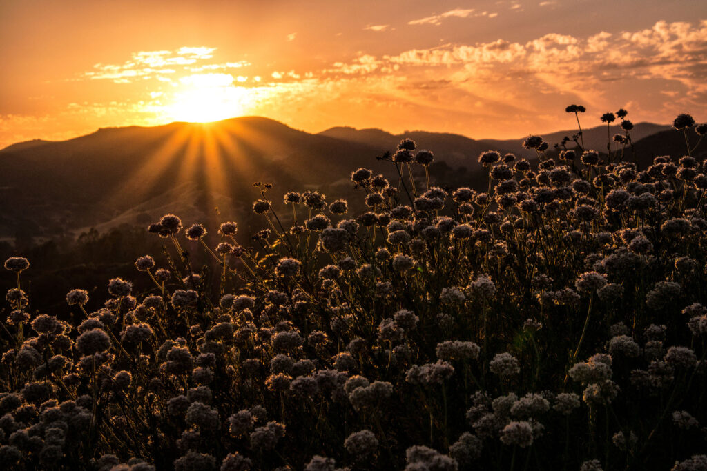 A Summer Solstice Sunset — Landscape & nature photography by Wasim Muklashy