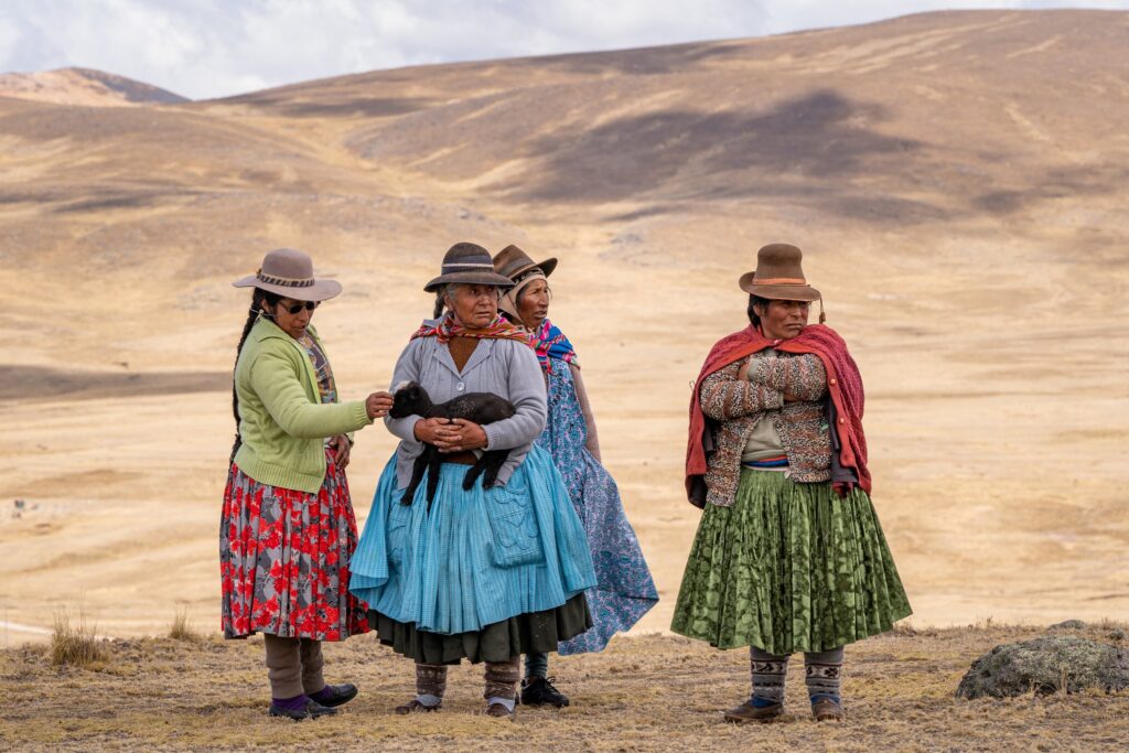 Andes Mountains Peru Quechua Benefit Picotani Vicuna Chaccu — Travel & nature photography by Wasim Muklashy