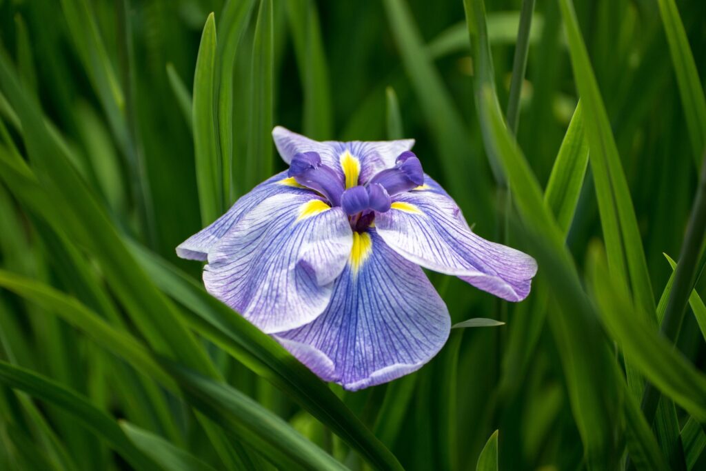 byWasim Desktop Background Images 102 — Landscape & nature photography by Wasim Muklashy