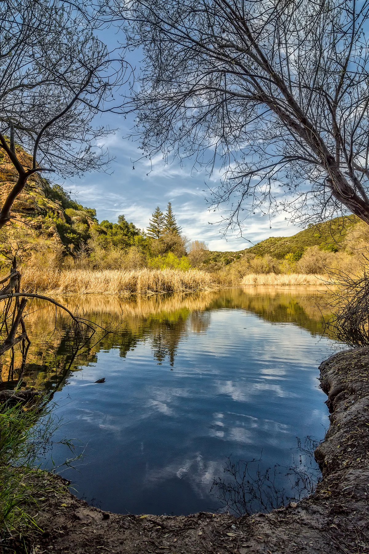 Century Lake, A Portrait. Malibu Creek State Park, California. Wasim Muklashy Photography
